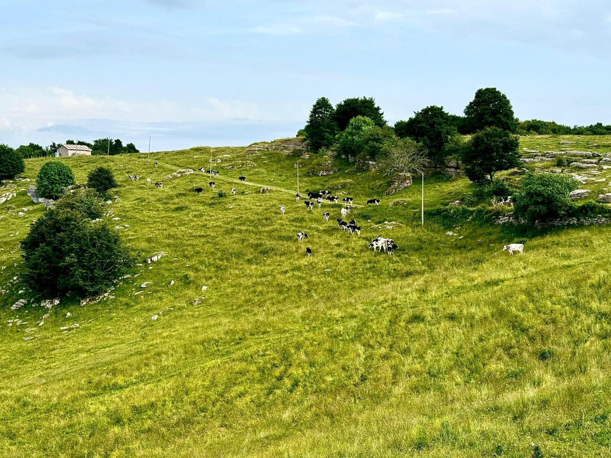 Willa Agriturismo Malga Rambalda Selvavecchia Zewnętrze zdjęcie